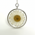 Pressed Daisy Necklace | Real Flower Pendant in Silver Circle Frame