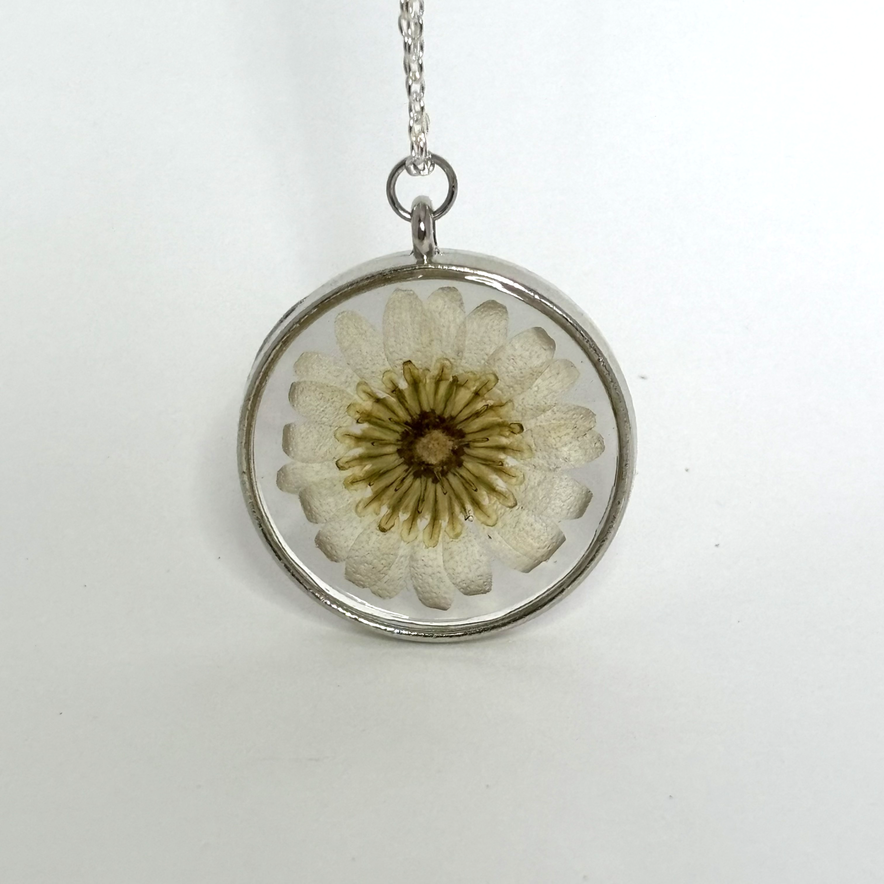 Pressed Daisy Necklace | Real Flower Pendant in Silver Circle Frame